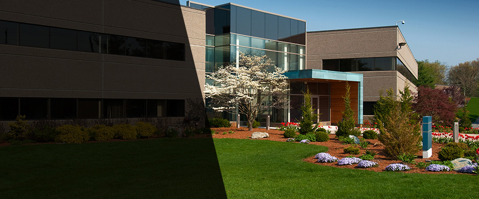 Antioch Landscapers