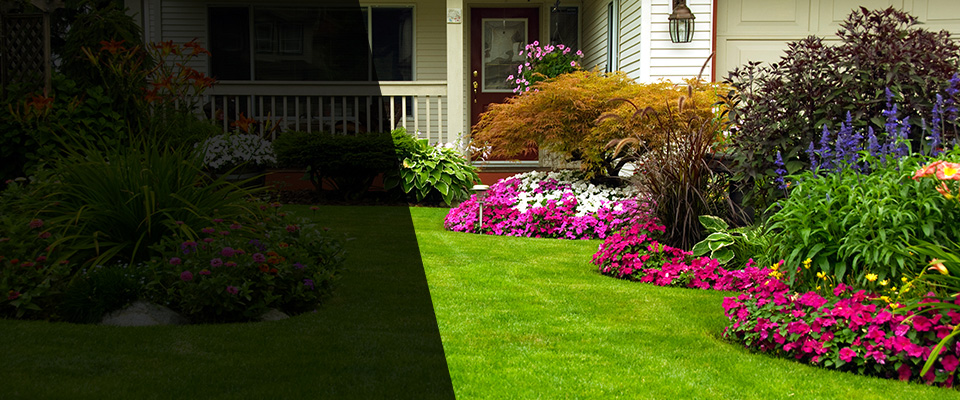 Antioch Landscapers