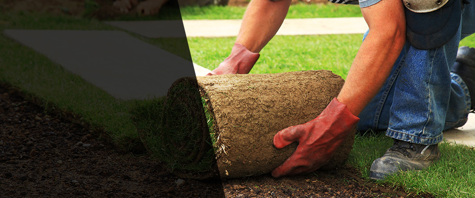 Antioch Landscapers